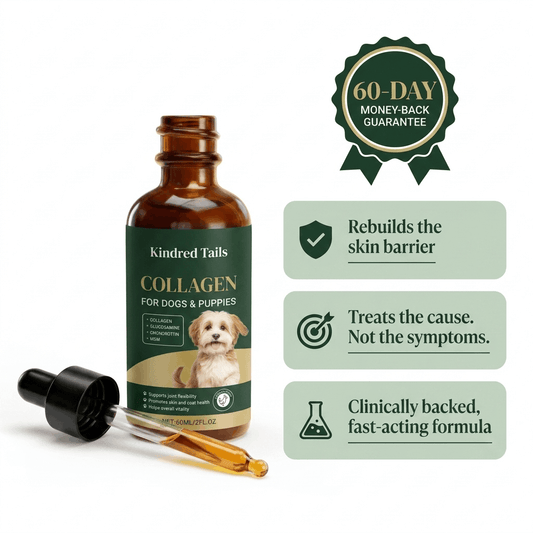 Kindred Tails Liquid Collagen for Dogs