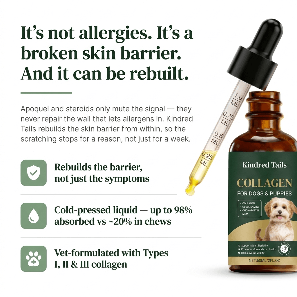 Kindred Tails Liquid Collagen for Dogs