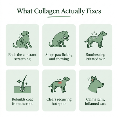 Kindred Tails Liquid Collagen for Dogs