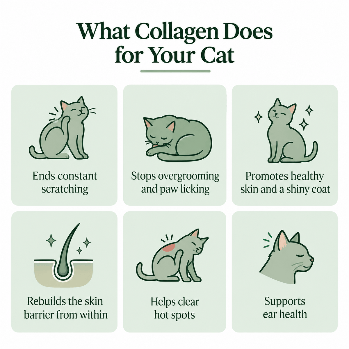 Kindred Tails Liquid Premium Liquid Collagen For Cats