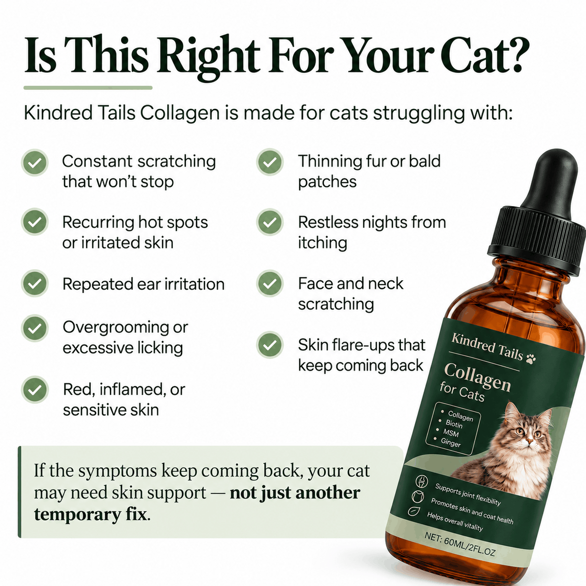 Kindred Tails Liquid Premium Liquid Collagen For Cats
